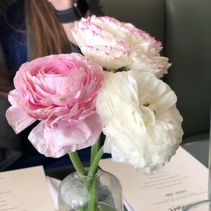 Meet your Posher, Janice